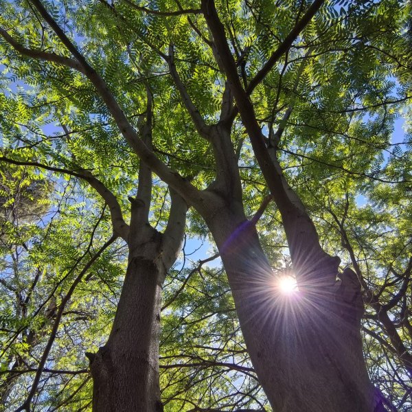 Clima estable y caluroso este Viernes Santo en Ciudad Juárez