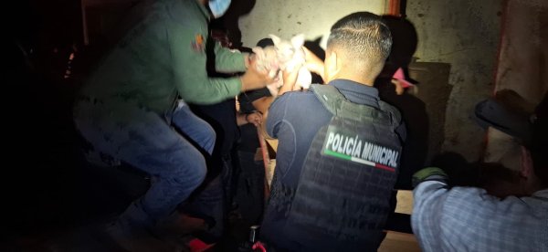 DABA resguarda animales tras incendio en predio colindante con APRODEA