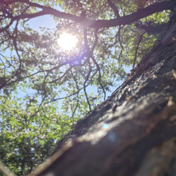 Semana arranca con clima agradable, pero el calor irá en aumento