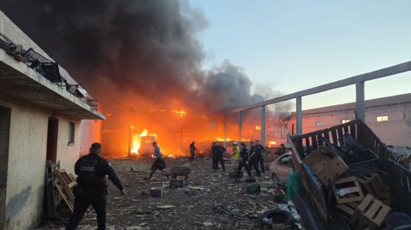 Intencional incendio que cobro la vida de animales en la colonia San Antonio