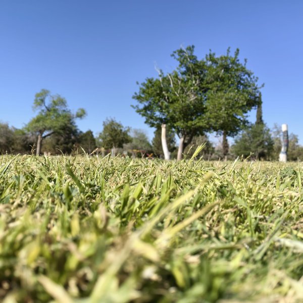 Llegará a 32°C el termómetro en Ciudad Juárez este martes