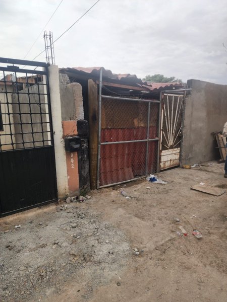 Muere joven de 26 años por rickettsiosis