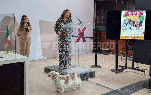 Ciudad Juárez se suma al Día de las Buenas Acciones con colecta de croquetas y adopciones