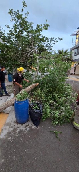 Tormenta de granizo moviliza a protección civil: suman 57 atenciones en 24 horas
