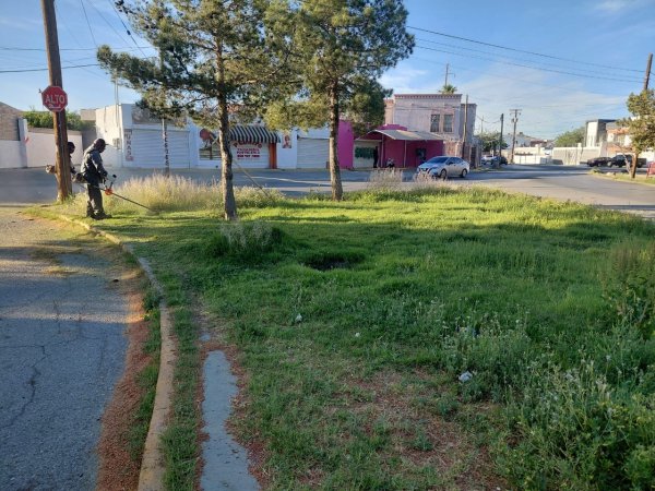 Realizan labores de mantenimiento en parque Álamos de San Lorenzo