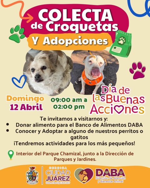 Invita DABA mañana a celebrar Día de las Buenas Acciones con adopciones y colecta de croquetas