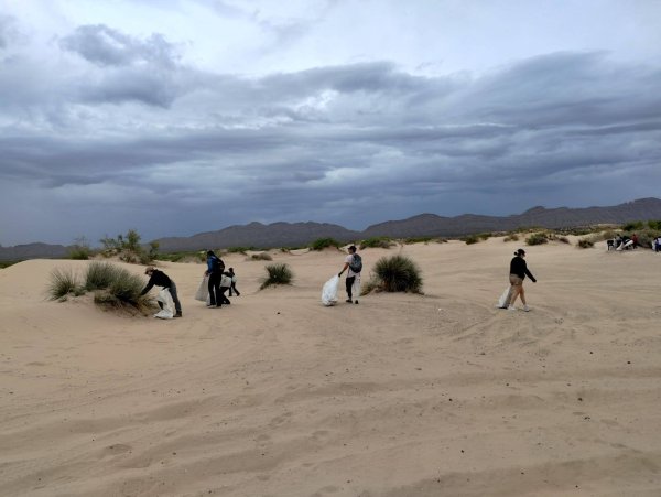 Más de 100 voluntarios limpian Médanos de Samalayuca y retiran 218.5 kg de basura