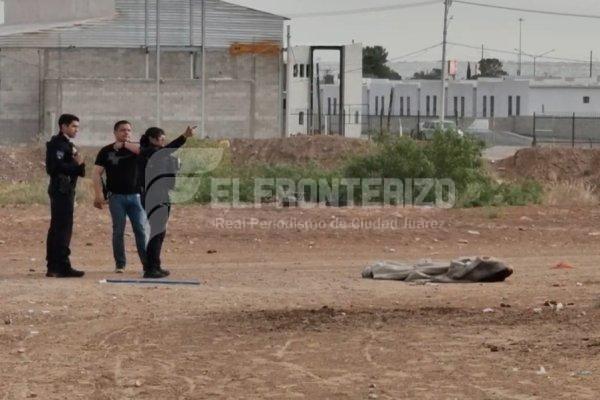 Canes se comían el cuerpo de una persona en la Colonia Erendira