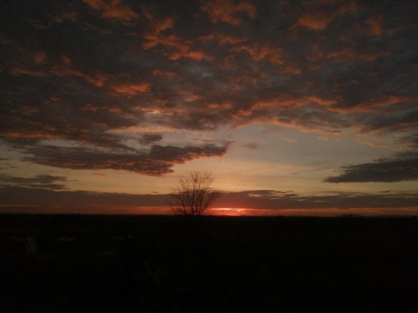 Cielo soleado y clima estable en Ciudad Juárez este miércoles; se prevé máxima de 26°C