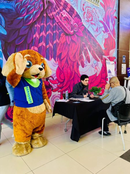 DIF Estatal abre WhatsApp para recibir dibujos del concurso “Milo en Familia”