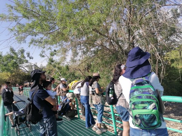 Invitan al Festival de la Niñez y las Aves en el Parque Central