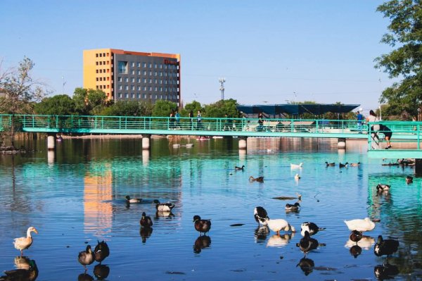 Inicia remodelación en Parque Central la segunda semana de mayo