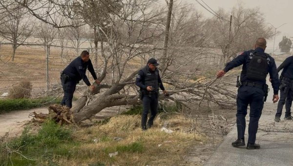 SSPM atendió 29 incidencias por fuertes vientos el día de ayer