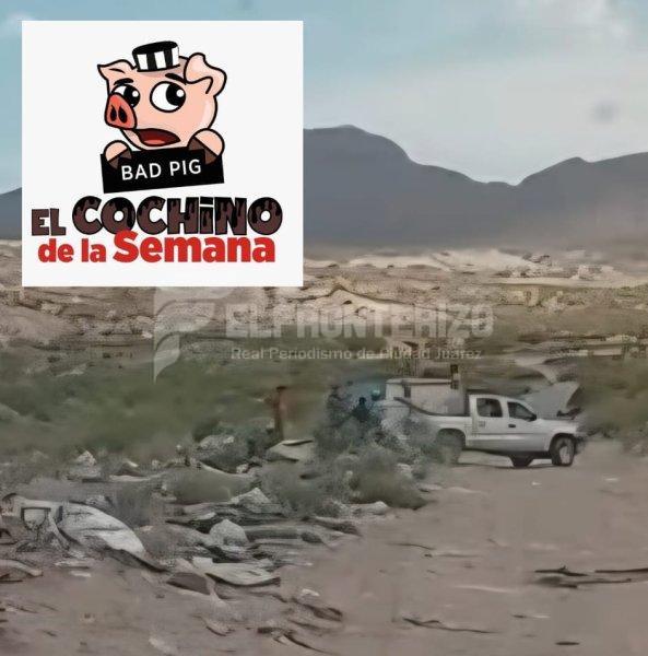 Exhiben al Cochino de la Semana