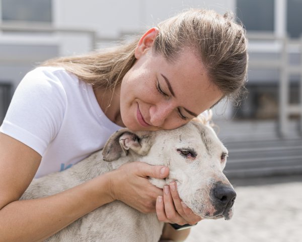 Mascotas de apoyo emocional requieren evaluación profesional y entrenamiento especializado