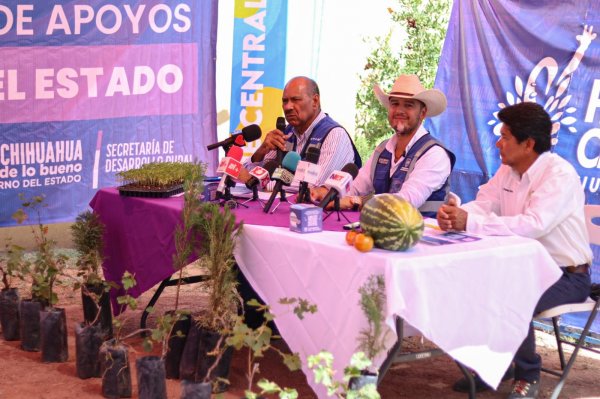 Mañana Feria Ambiental en Parque Central, donarán árboles, arbustos y hortalizas
