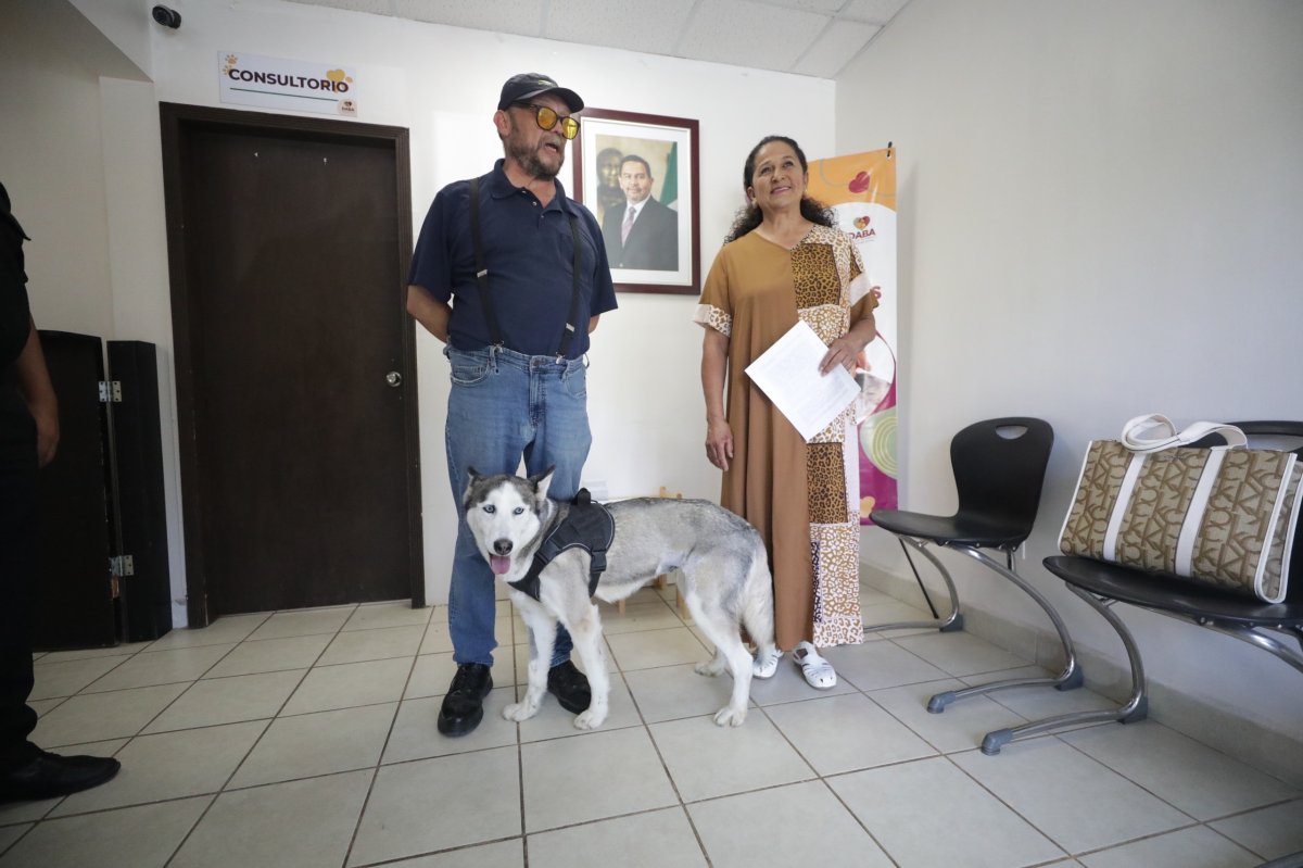 Sasha vuelve a casa tras cumplir observación; acuerdan medidas para garantizar su bienestar