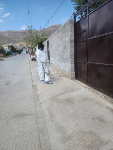 Refuerzan combate contra la rickettsiosis con fumigación, vacunación y control de garrapatas en Juárez