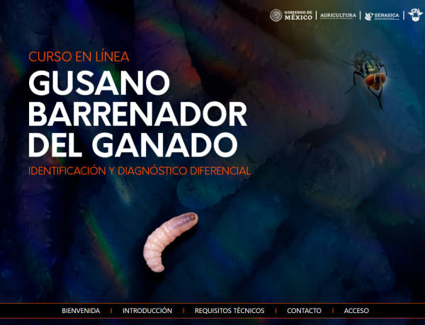 Invitan a veterinarios a capacitarse sobre identificación del gusano barrenador