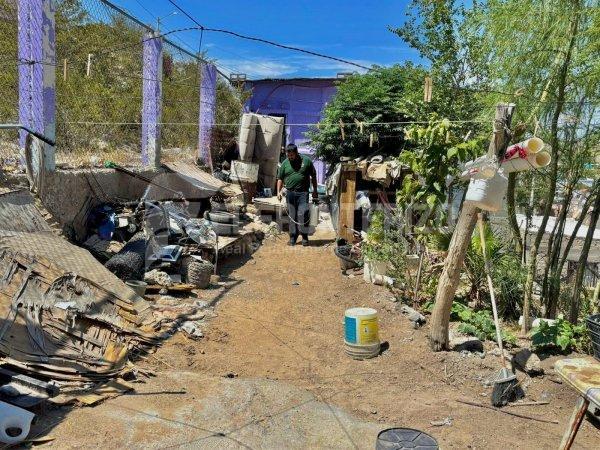 Hacen alianza fumigadores y municipio en la campaña contra la riketsia