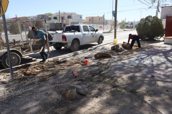 Renuevan parque en Parajes del Sur para disfrute de las familias