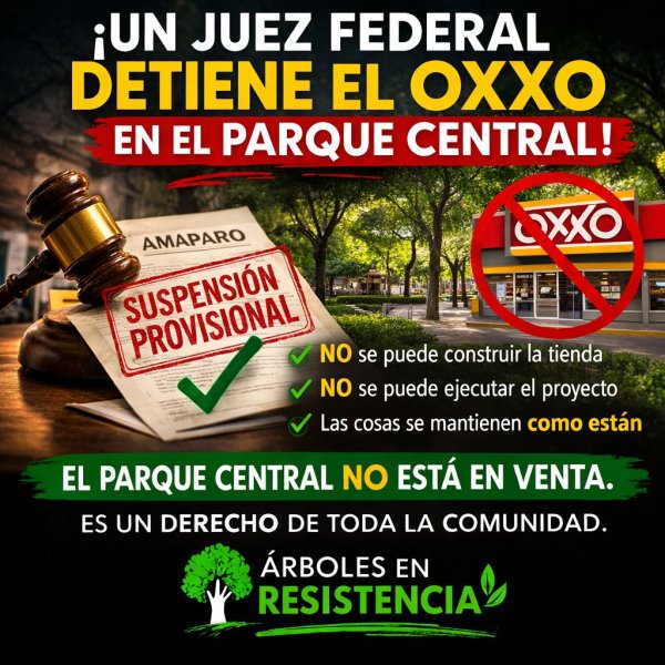 Árboles en Resistencia anuncia suspensión contra Oxxo en Parque Central y analiza protesta ciudadana