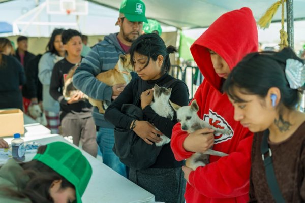 Más de 170 mascotas reciben atención gratuita en jornada “Huellitas Verdes” en Parajes de San Juan