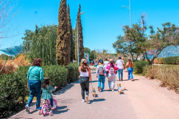 Soleado y con temperaturas agradables este martes en Ciudad Juárez
