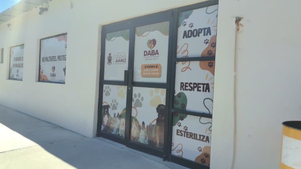 Atiende DABA 20 denuncias diarias por maltrato animal