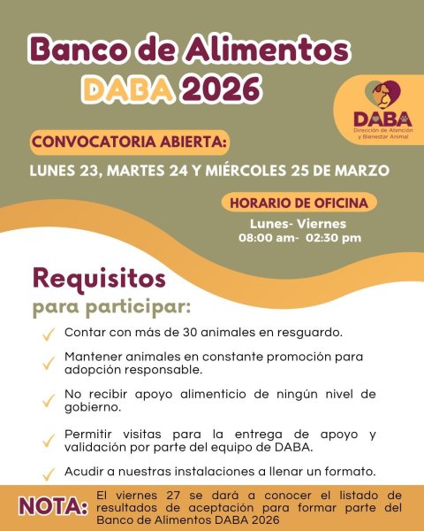 Refugios de animales podrán acceder a alimento gratuito; DABA abre registro por tres días