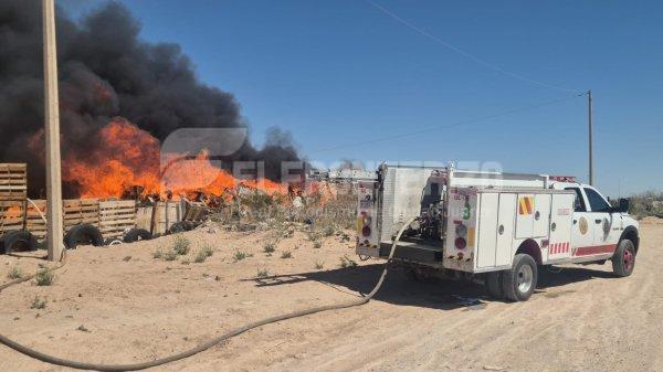 Arde en llamas un establo con Porcinos y mueren dos