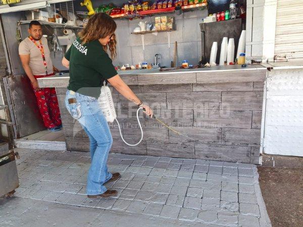 Fumigan el Borunda para frenar la rickettsia y otras plagas