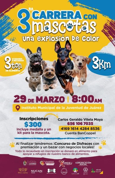 Todo listo para disfrutar este domingo de la Tercera Carrera con Mascotas