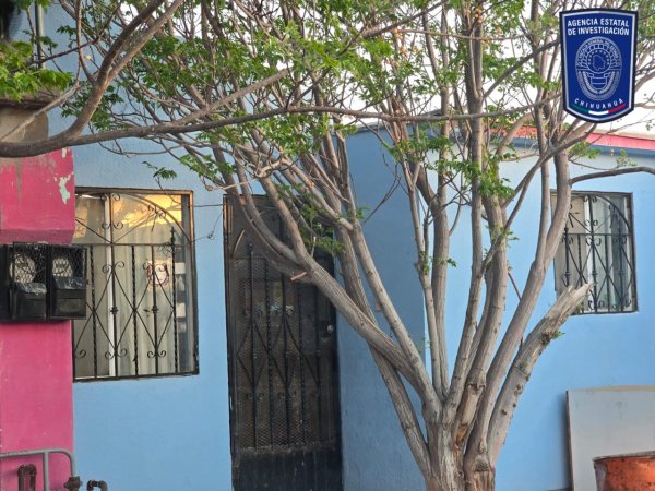 Rescatan a dos perros en condiciones de maltrato tras cateo en Torres del Sur