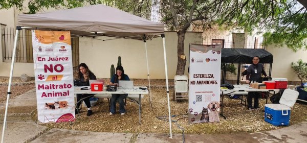 Vacunas, rescates y adopciones: así se movió el bienestar animal en Juárez durante abril
