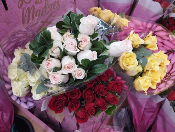 Esperan más de mil 200 mdp en derrama económica para el Día de las Madres en Juárez