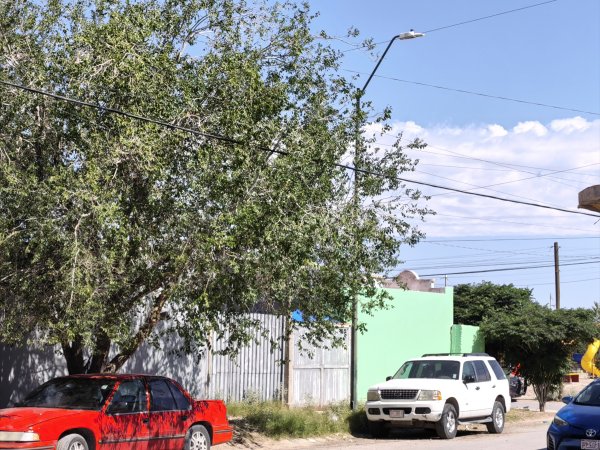 Se espera día soleado y con vientos moderados para este 10 de mayo