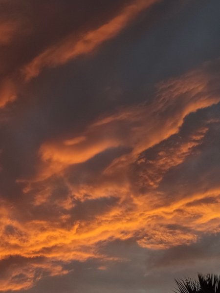Viernes caluroso en Juárez; prevén máxima de 33 grados y fuertes ráfagas de viento