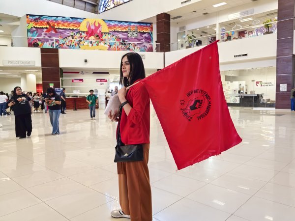 Maestros debieron manifestarse ante diputados no en oficinas de gobierno