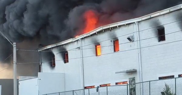Atendió Protección Civil más de 60 emergencias en las últimas 24 horas