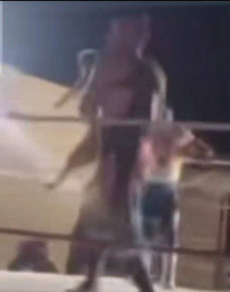 Indignan agresión a perro durante función de lucha libre en Ciudad Juárez