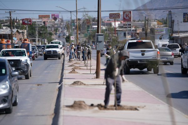 Plantan 175 árboles en la avenida De los Aztecas