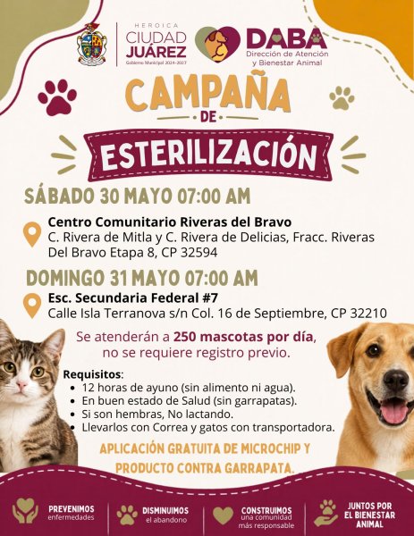 Esterilizarán gratis a más de 250 mascotas este fin de semana en Juárez