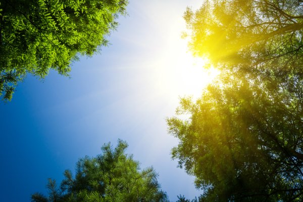 Viernes caluroso en Juárez: prevén hasta 32°C y fuertes rayos UV